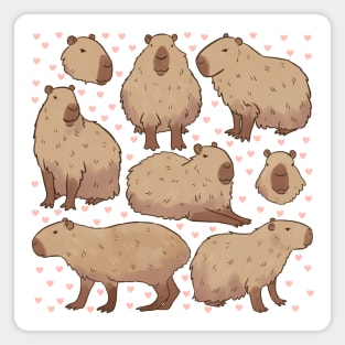 Cute capybara illustration Magnet